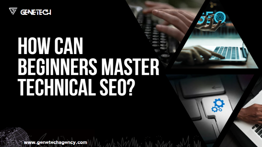 How Can Beginners Master Technical SEO?