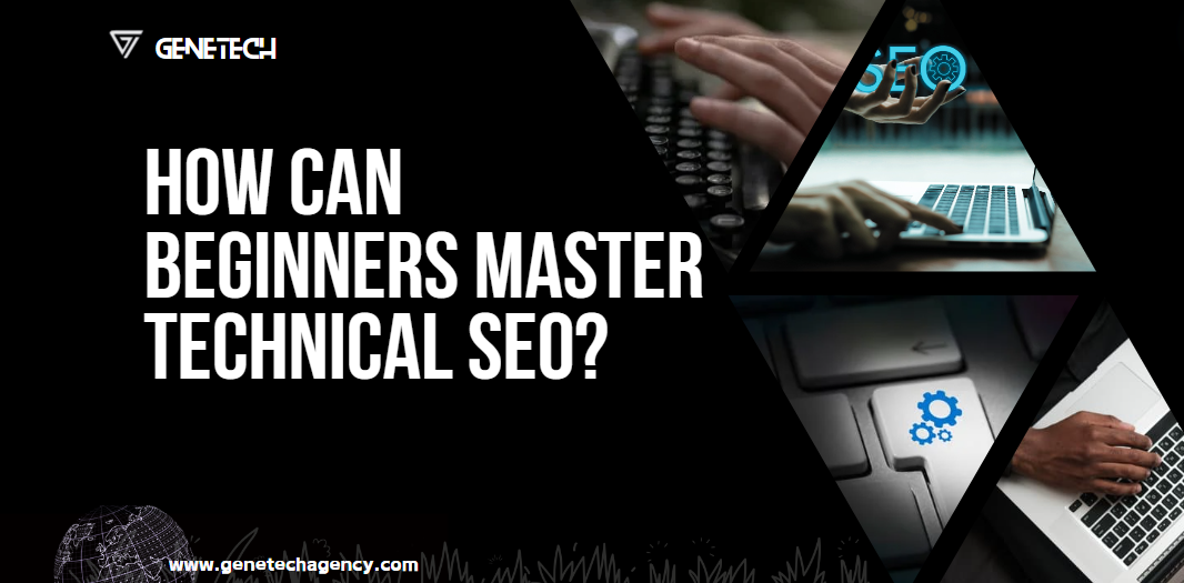 How Can Beginners Master Technical SEO?